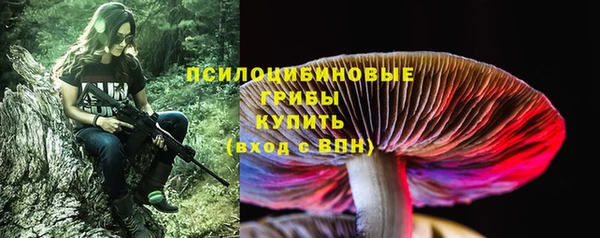 мдпв Зеленокумск